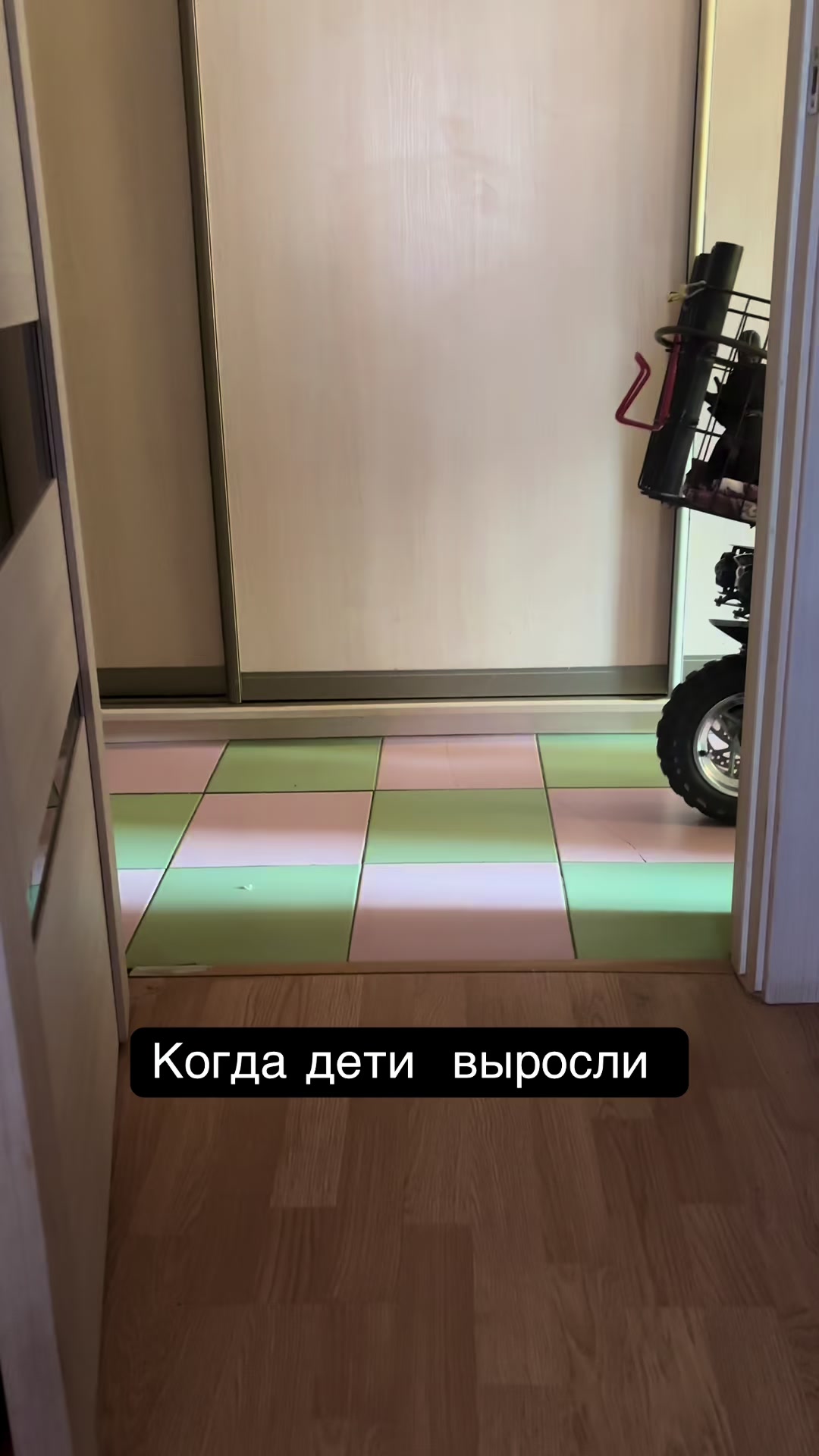 @Хвостатые бандиты🐈⬛🐈