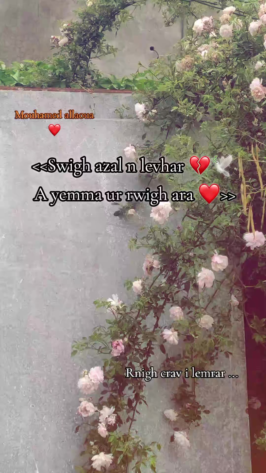 @Aɴɪs_✨