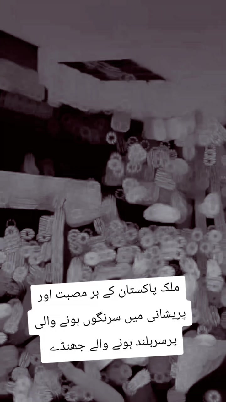 @Bilal Ahmad 23