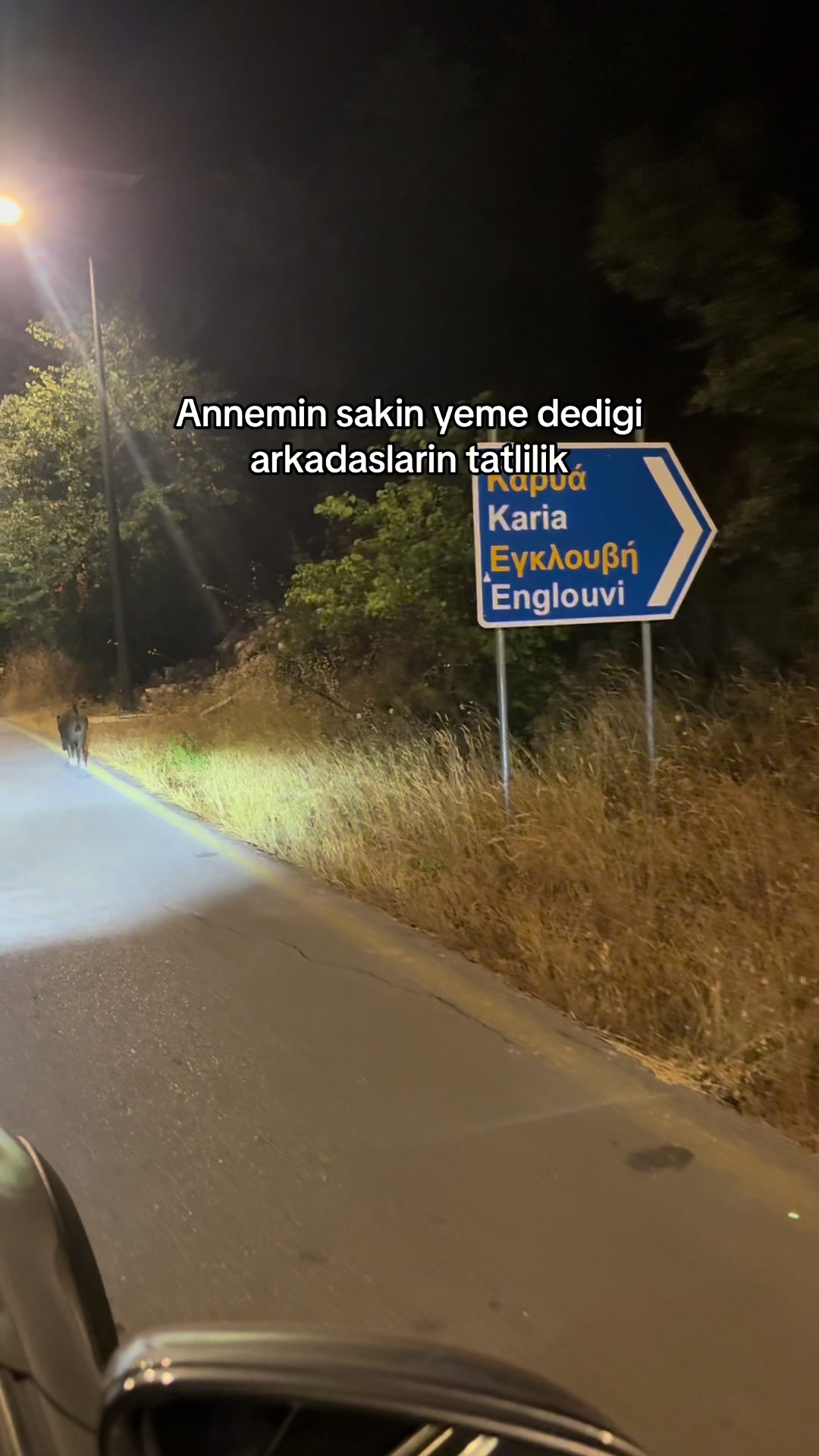 @Gokce