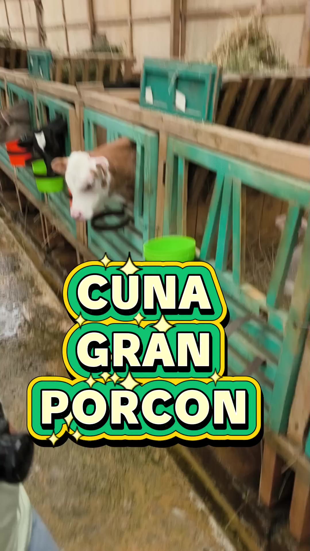 @El Ganadero Ganador