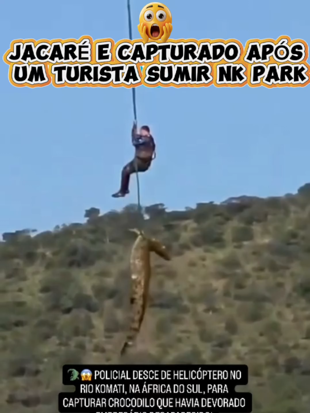 @TRAVEL PINGUIM