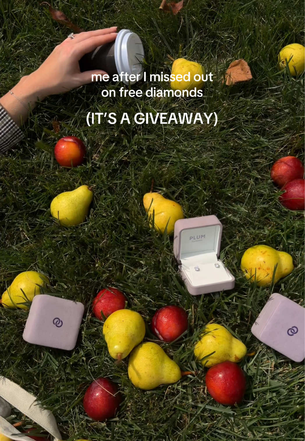 @Plum Diamonds
