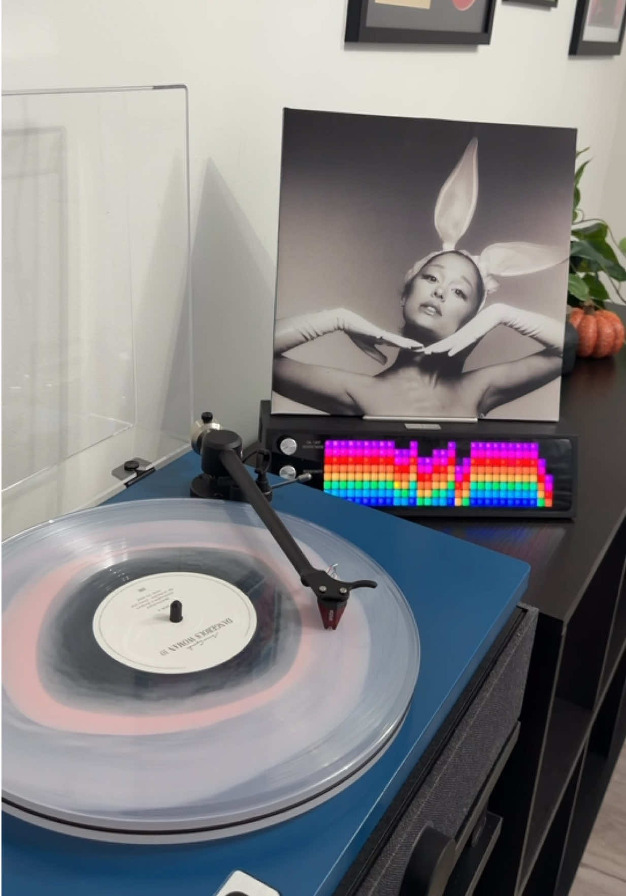 @Alex’s Vinyl