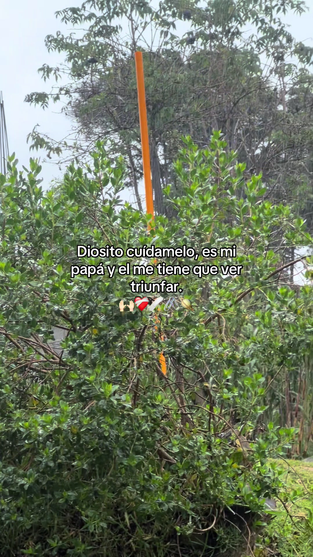 @🧃fracesgtjr🧃