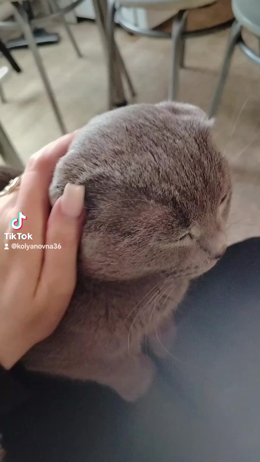 @Коляновна🙈