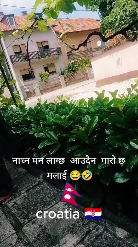@🌺शान्ति 🌺