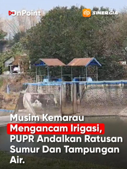 @SINERGIA MEDIATAMA