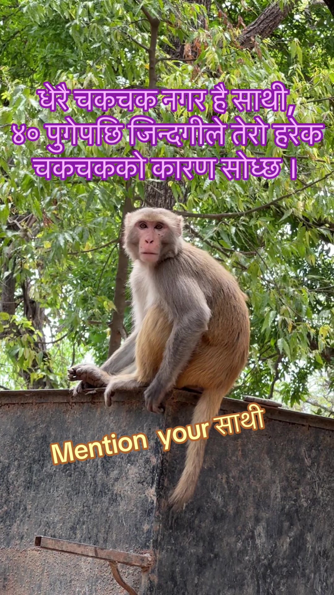 @Harry P Devkota