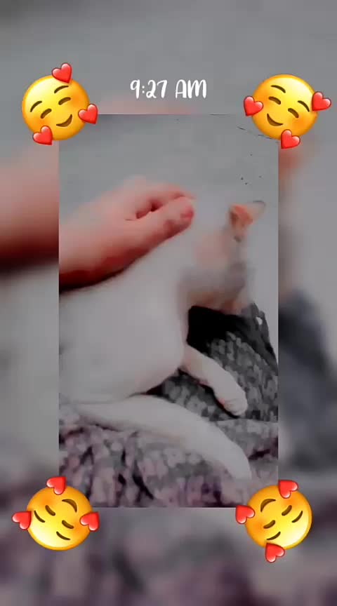 @Muskan khaskheli