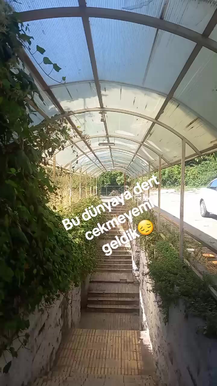 @🌹G&uuml;l&uuml;m 🌹