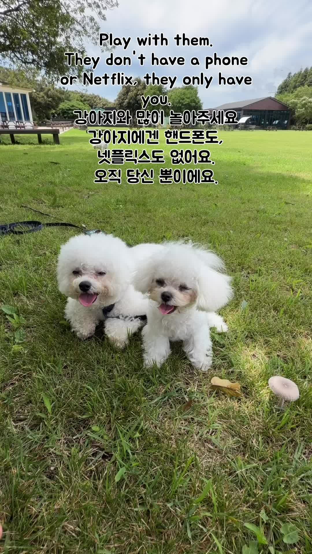 @jeju_kiki