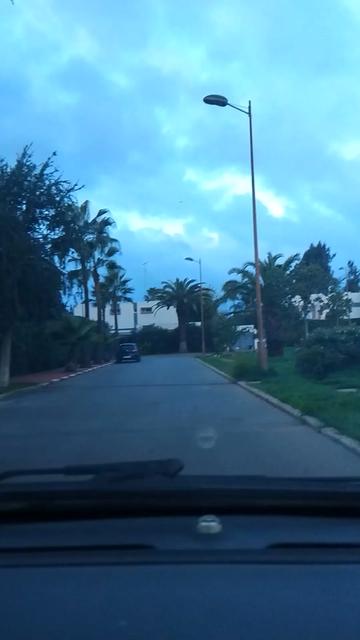 @manalreda