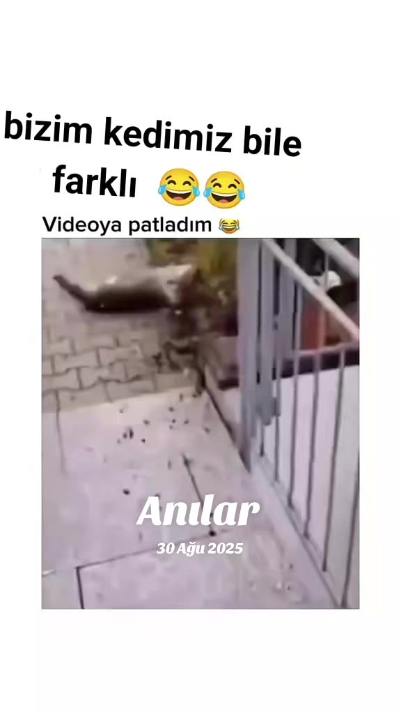 @cadı seda