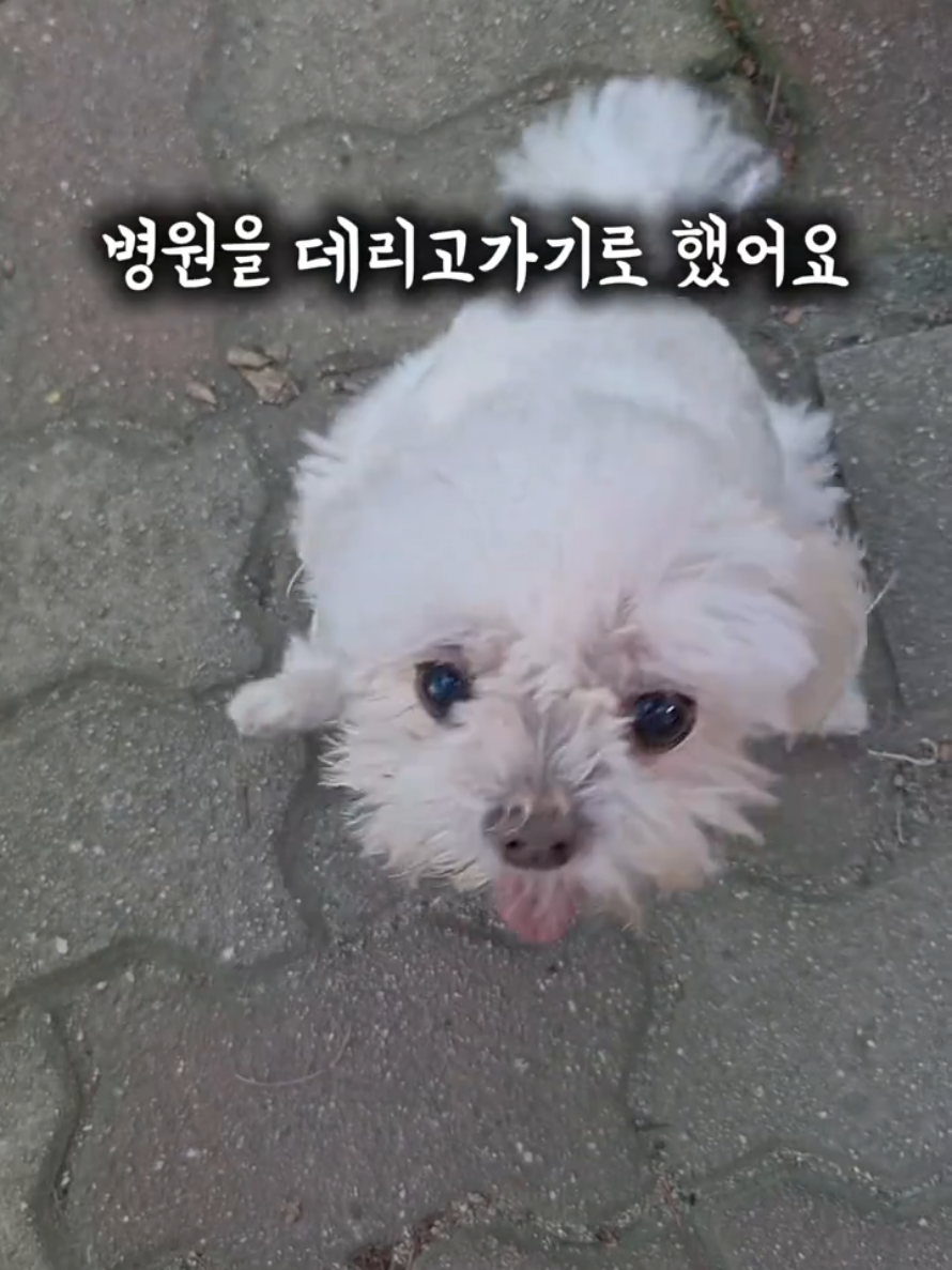 @하필유필