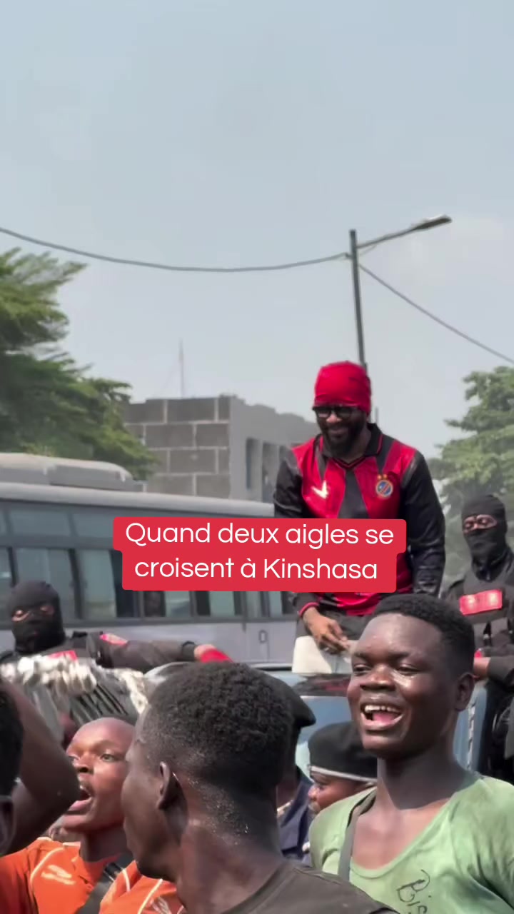 @Pulse Congo