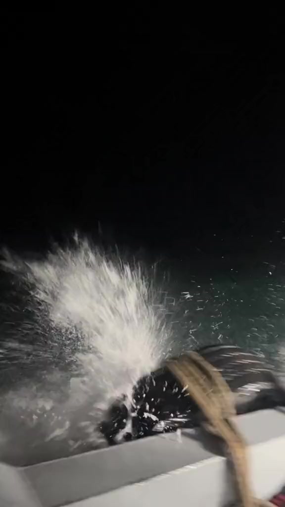 @🛳️h&agrave;m&igrave;d&oslash;⚓⚡R&aelig;ys&euml;🐬🏴&zwj;☠️