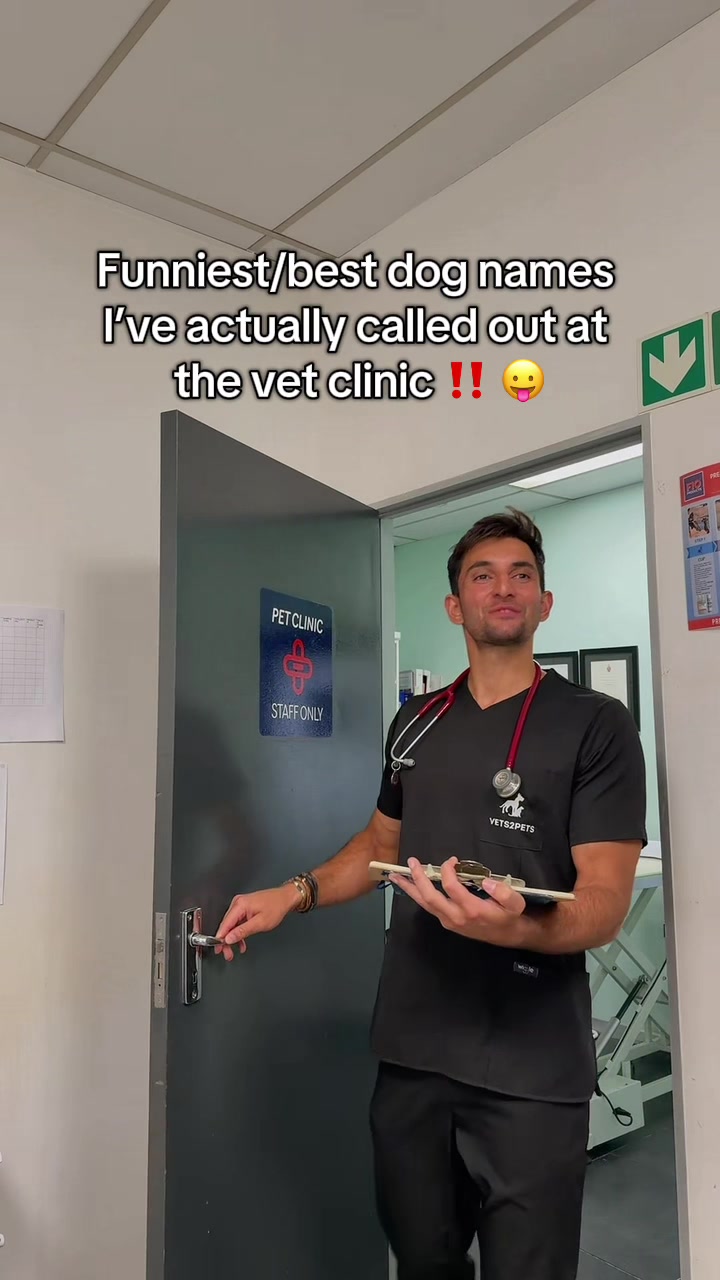 @Amir the vet