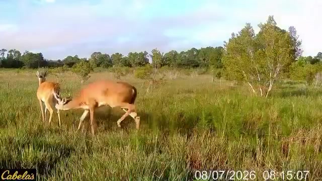 @Buckmasters Outdoors