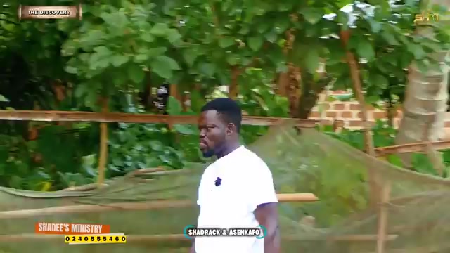 @Africantrumpet 🎺🎺🎺