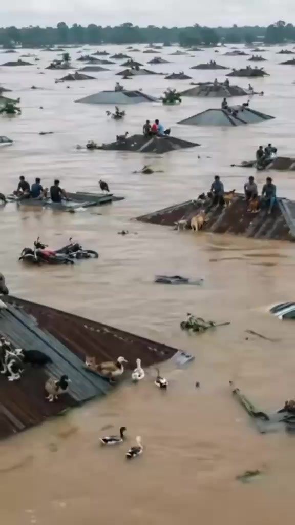 @দুইটি প্রবাস একা আছি সিঙ্গেল