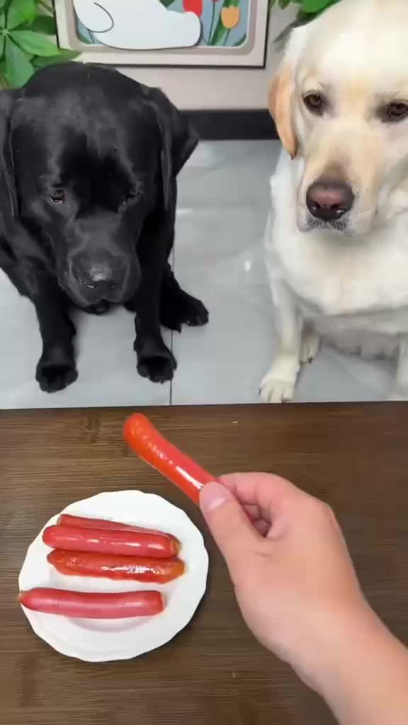 @Funny
