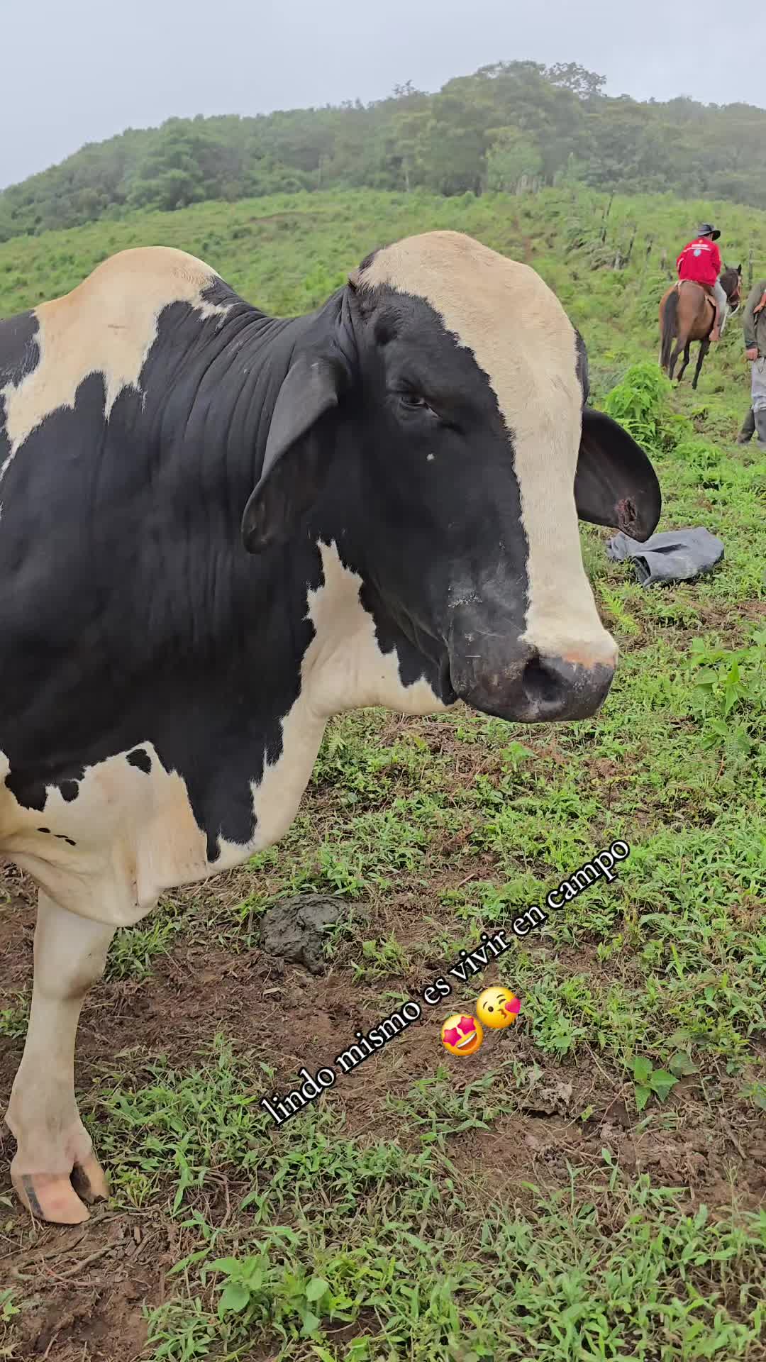 @🐓TU GALLO FINO 🐓