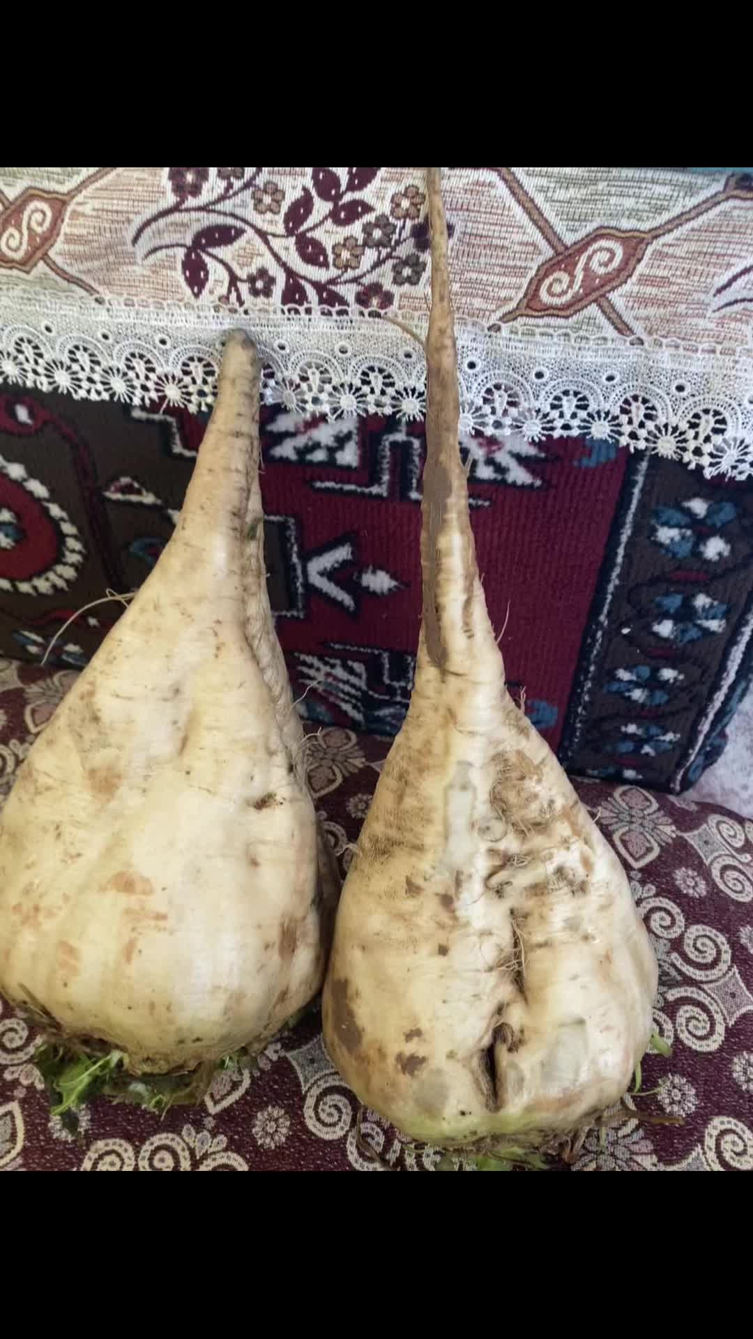@YUSUF GÜNTAY