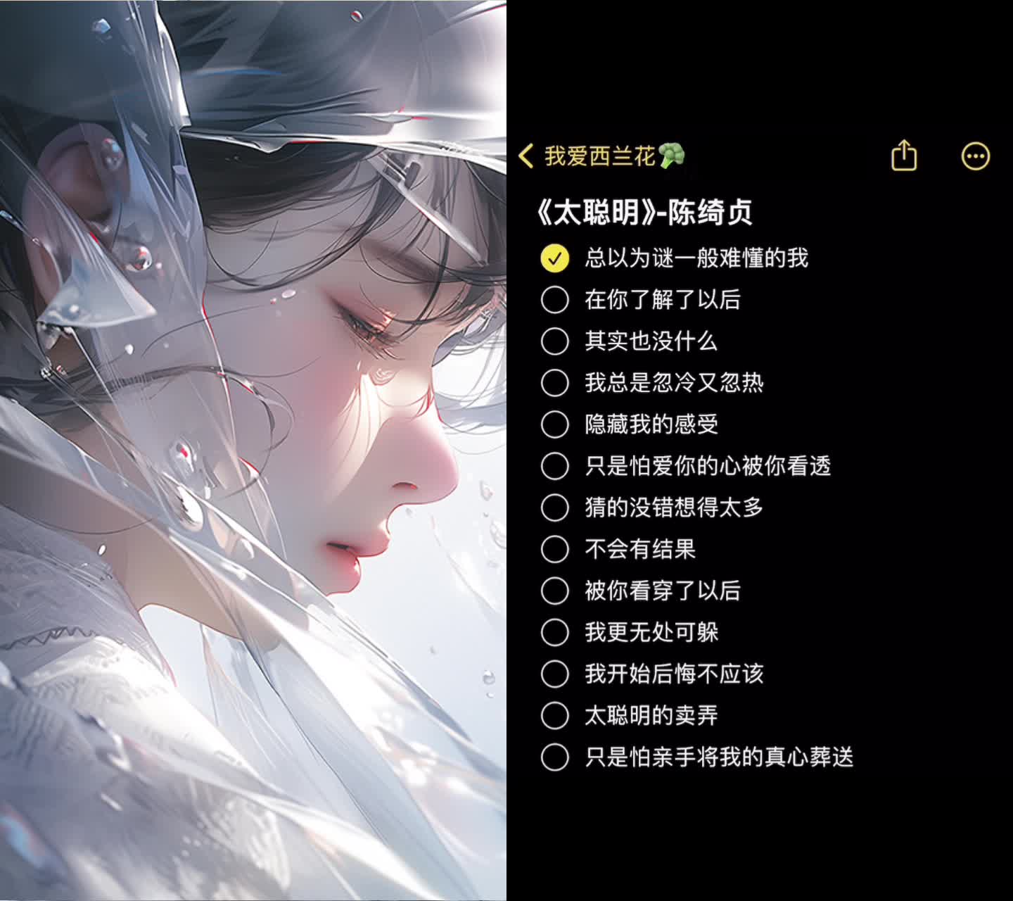 @早昂晚昂✨