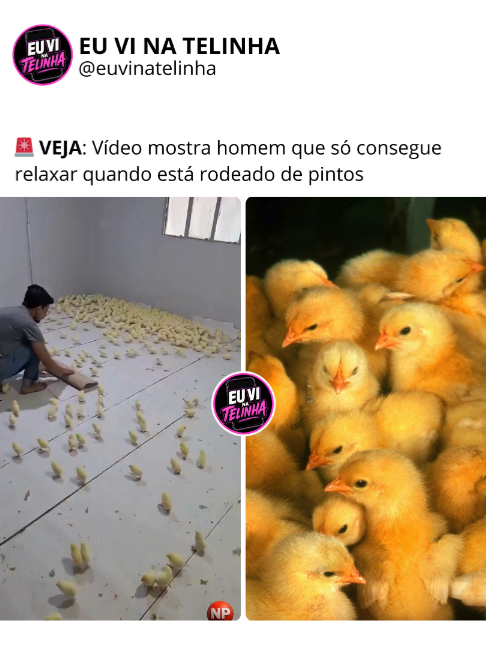 @EU VI NA TELINHA