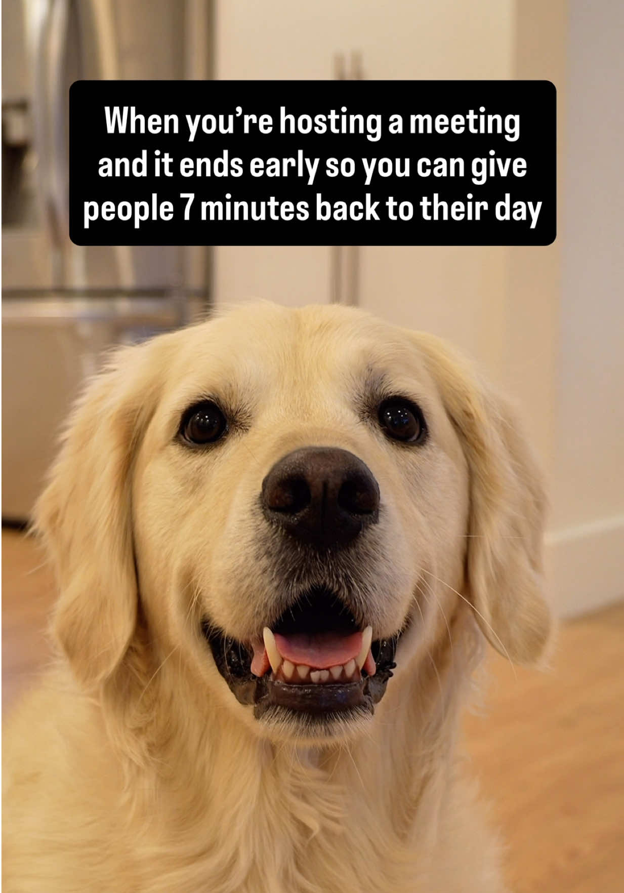 @Rigatoni The Golden