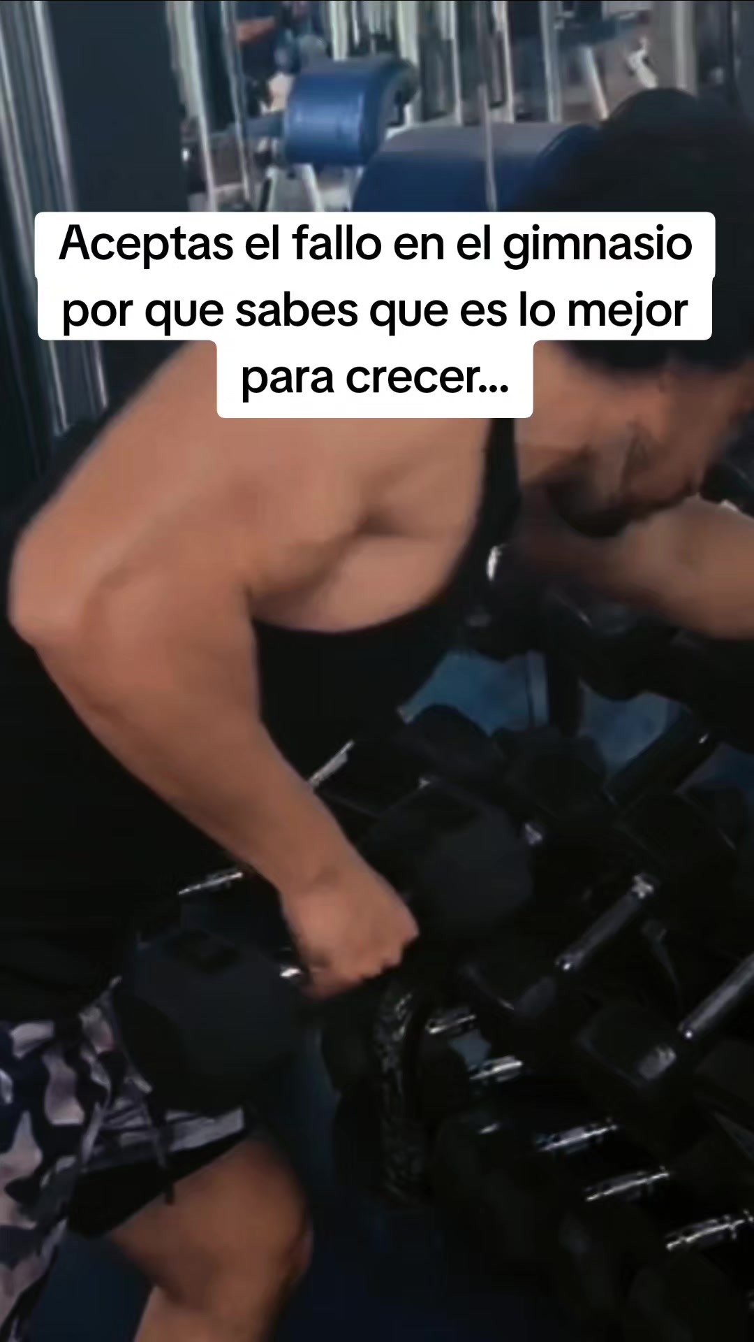 @Orlandofit Entrenador Online
