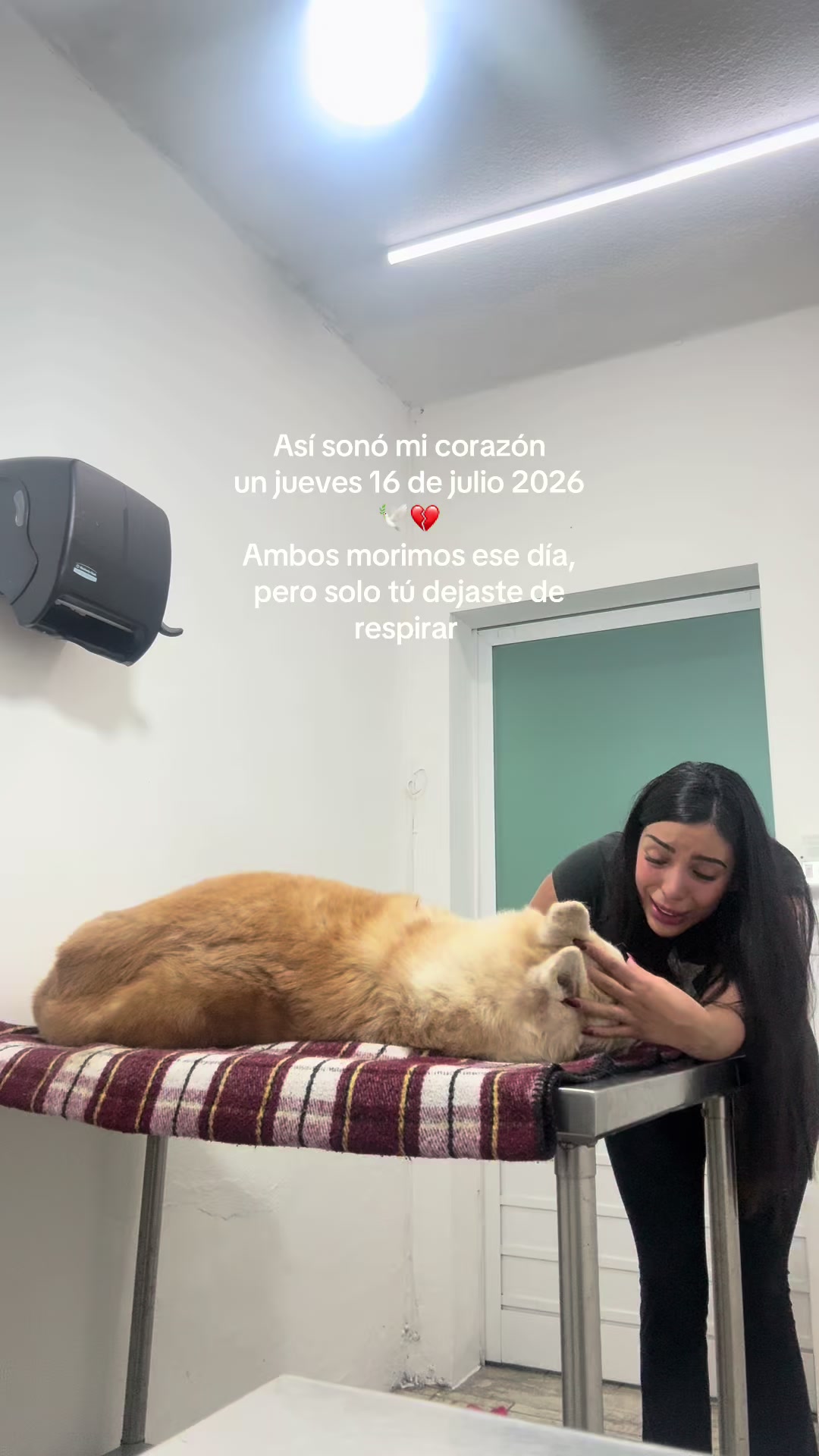 @Celeste