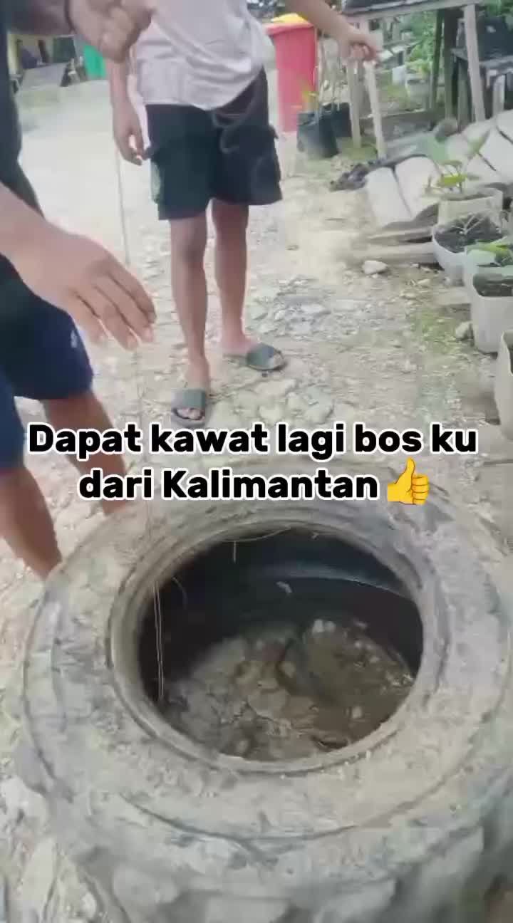 @Bang DARWIS ca77