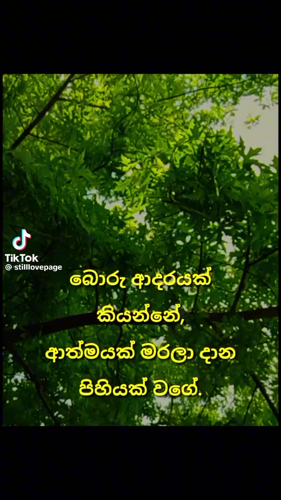 @Samantha Vidanagamage