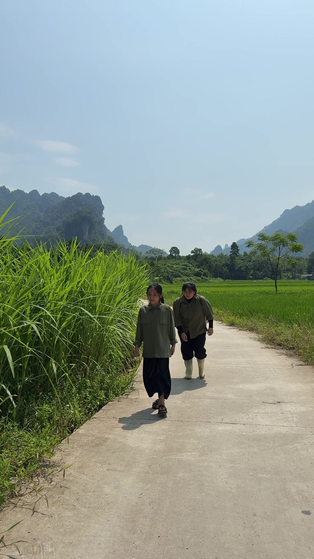 @Sức T&agrave;y