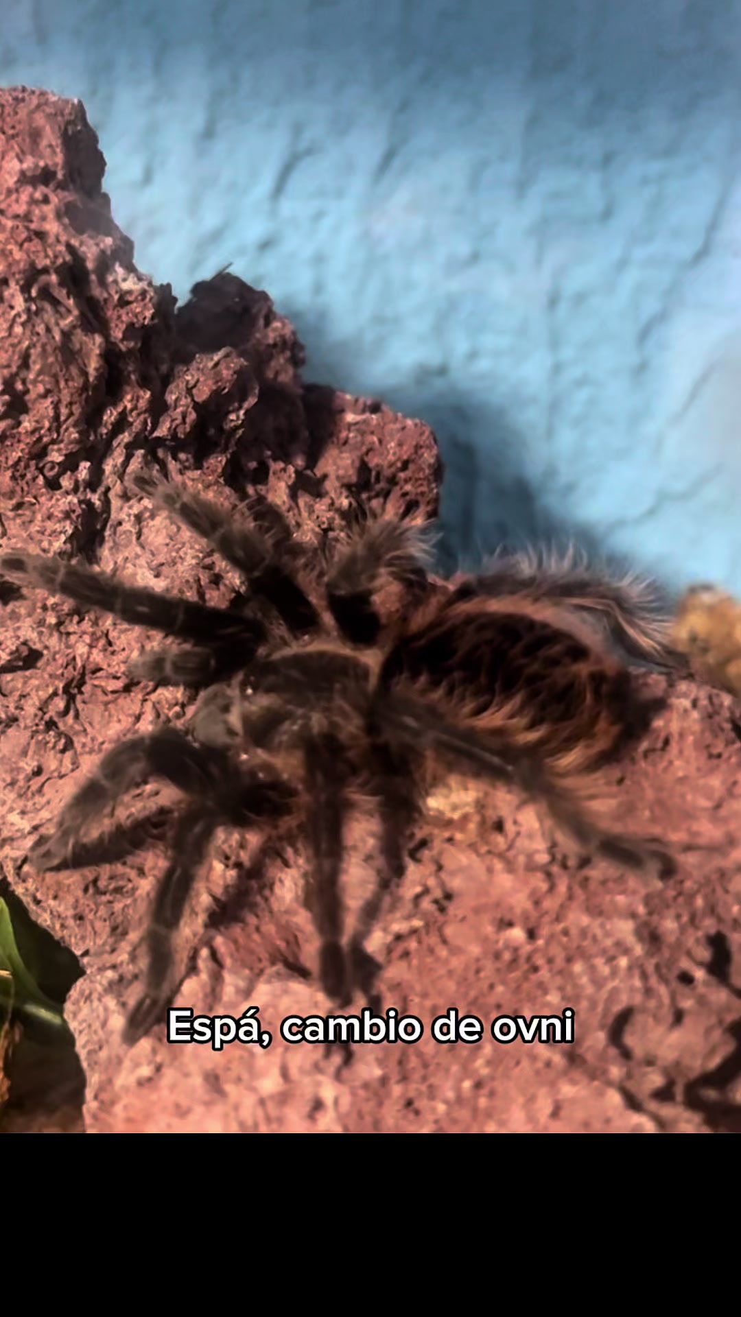 @Alejandro Lucio