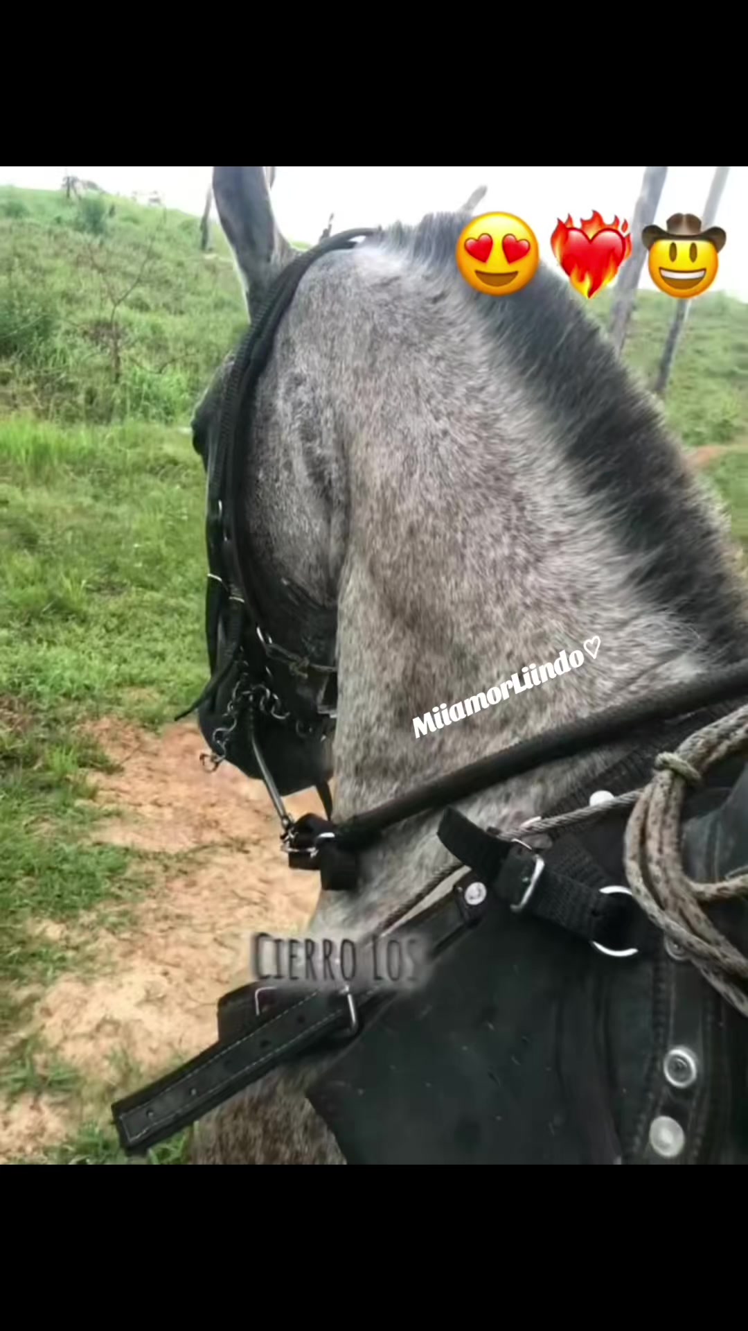 @MariiaCamiila🥤