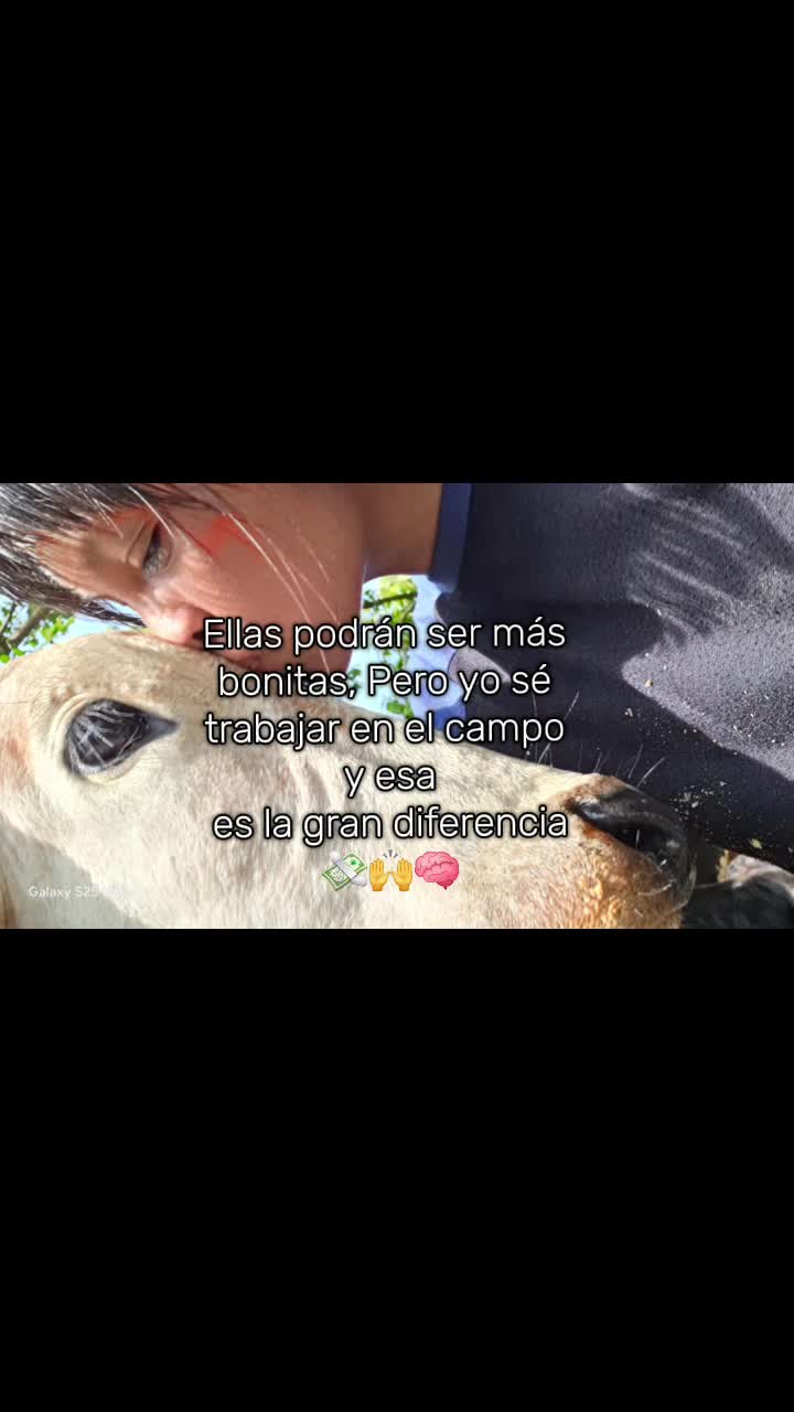 @๐น๐๐๐ ๐จ๐๐๐๐
๐