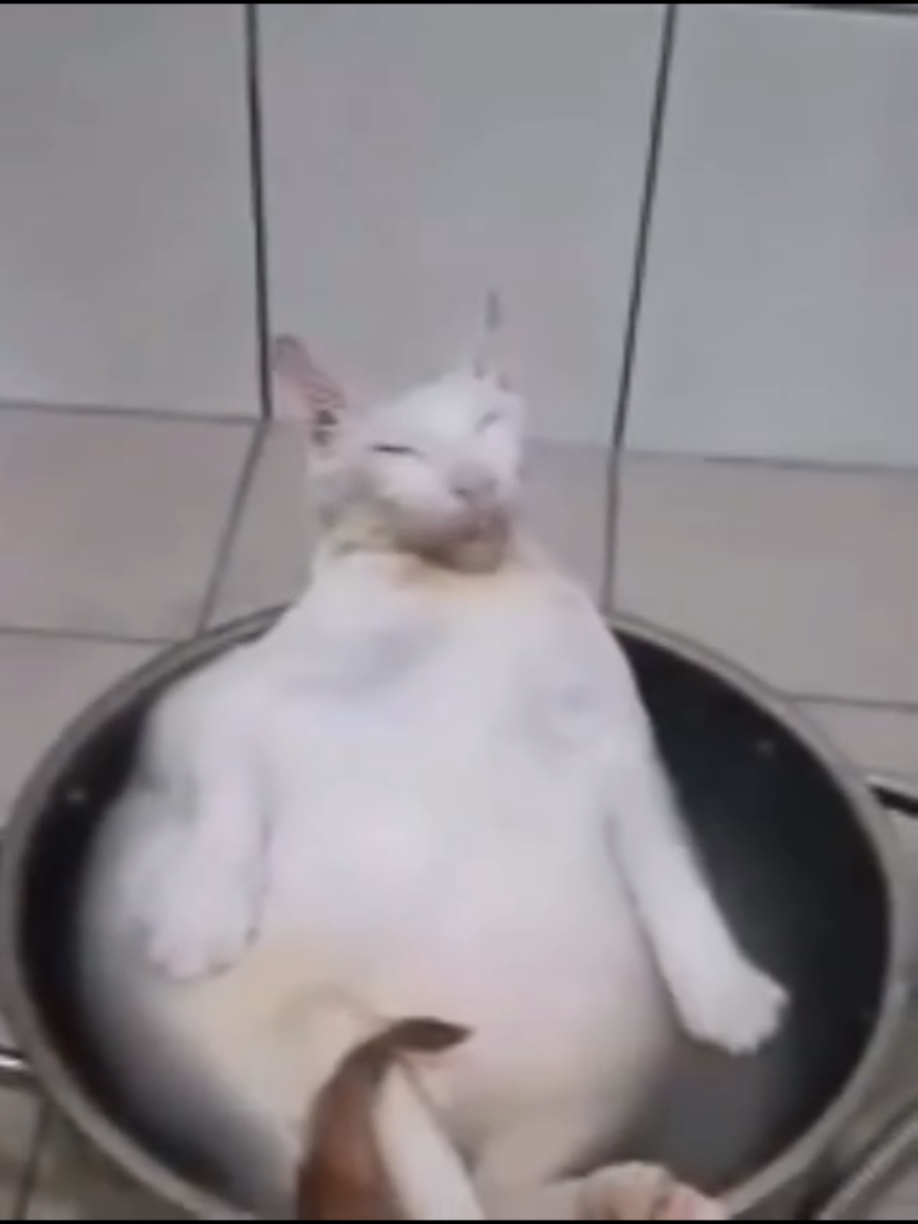 @๐ด๐๐๐๐๐ ๐ฅ