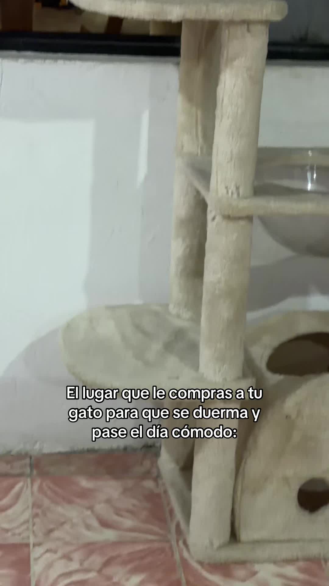 @chuchy
