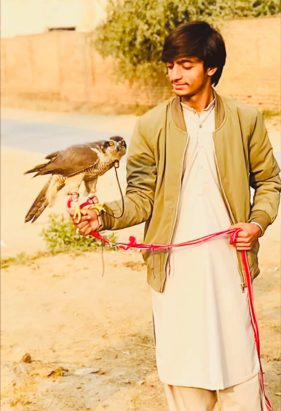 @سید محمّد عزادار حیدر شاہ🥀🖤