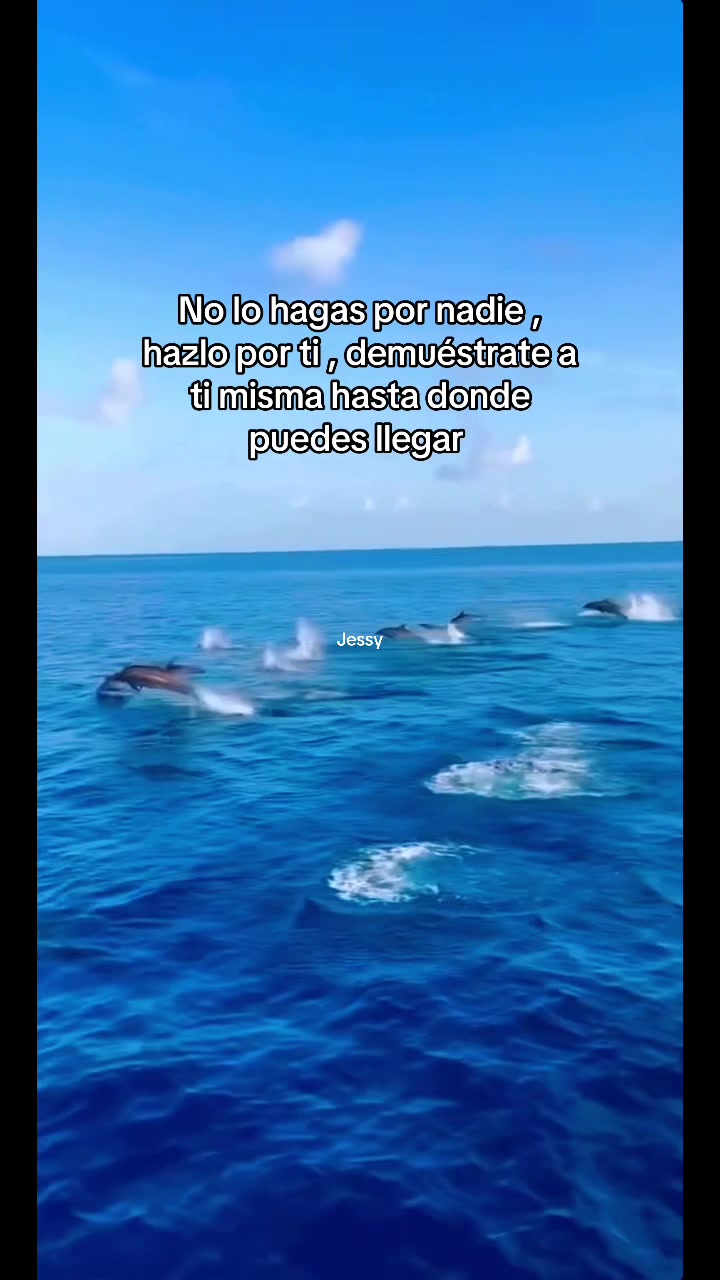@Jessy Serrano