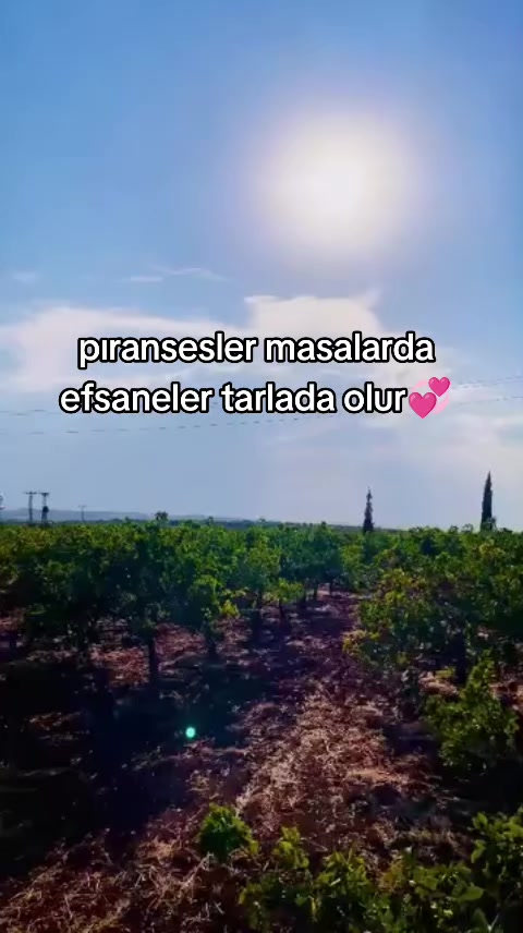 @โค๏ธ๐ฅ"ASฤฐ KIZ"โค๏ธ๐ฅ