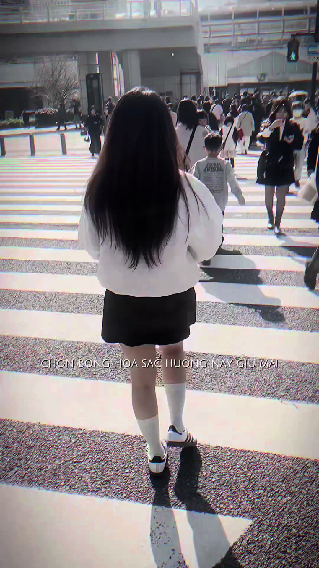 @Huynhnhu🐾