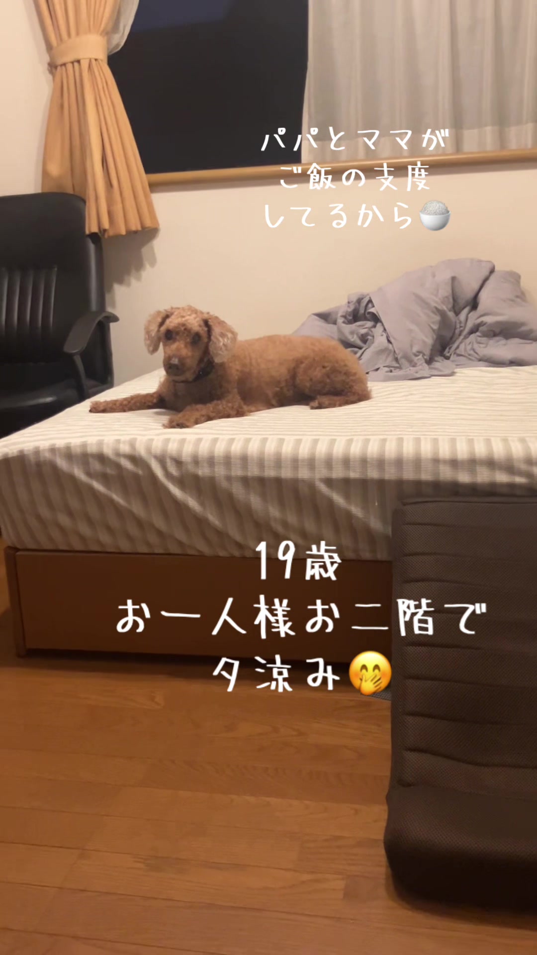 @ルイママ