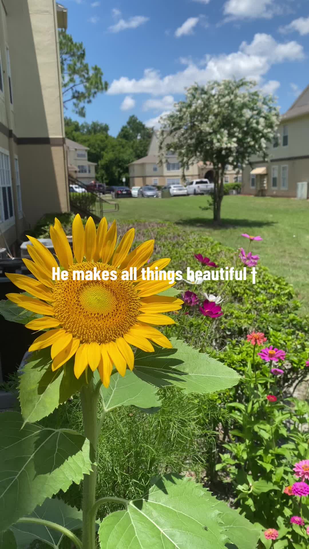 @Blooming Forward