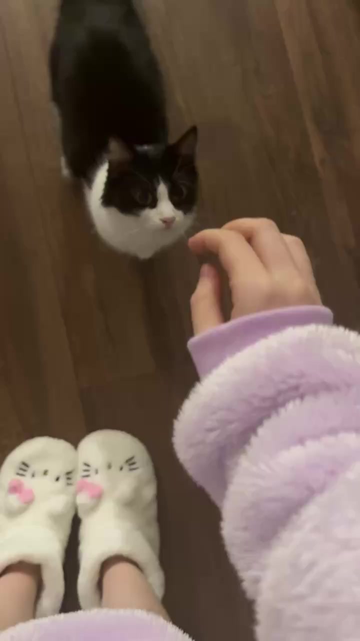 @Nasvauuuu