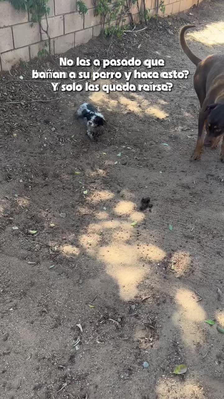 @DIOS