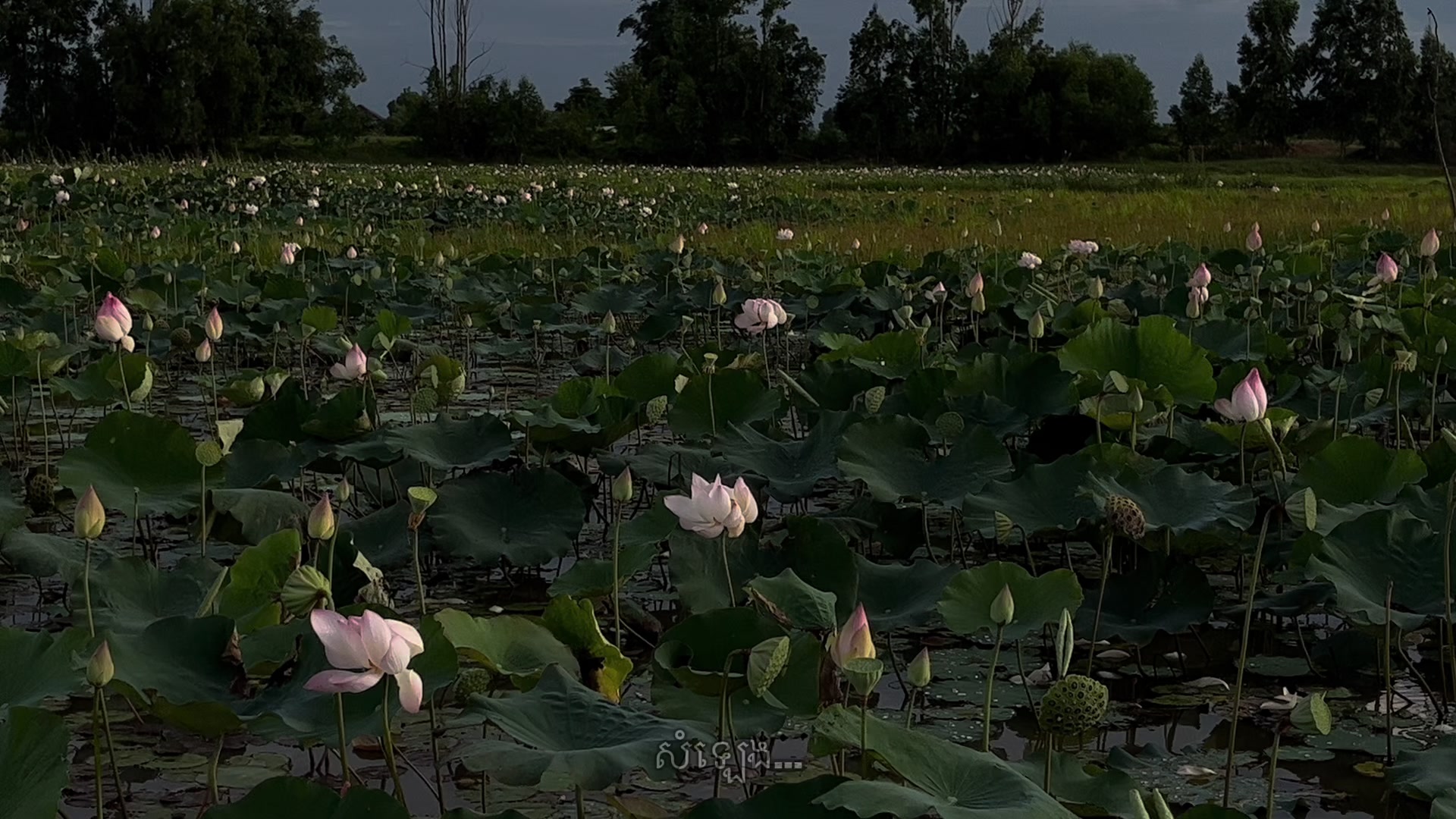 @សំឡេង…
